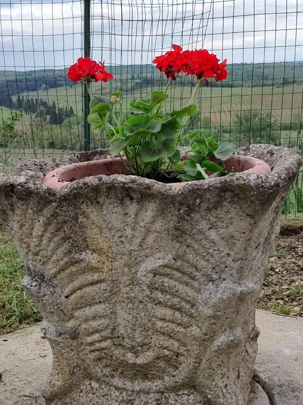 Il Giardino Del Chianti Apartment Siena Bagian luar foto