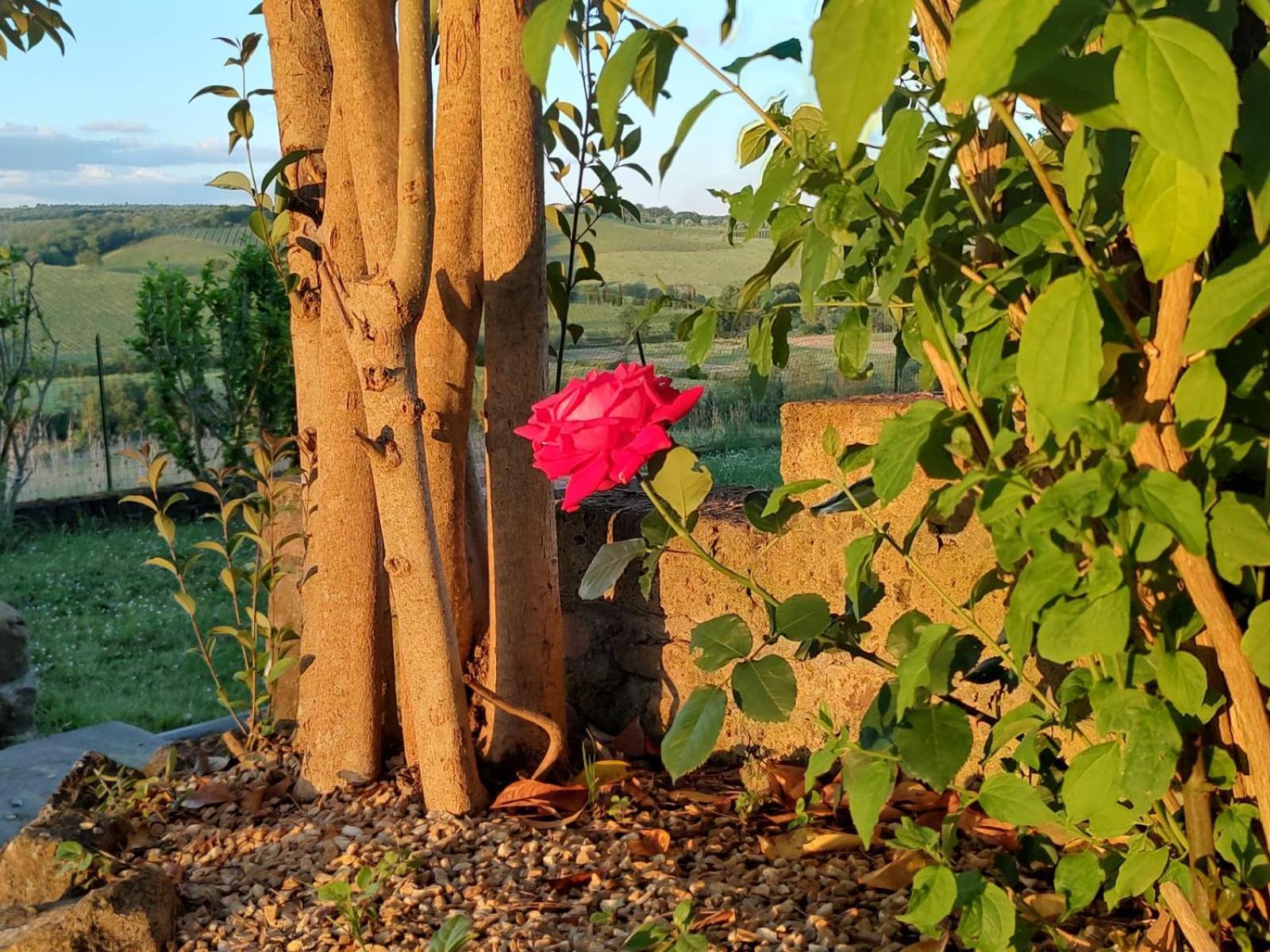Il Giardino Del Chianti Apartment Siena Bagian luar foto