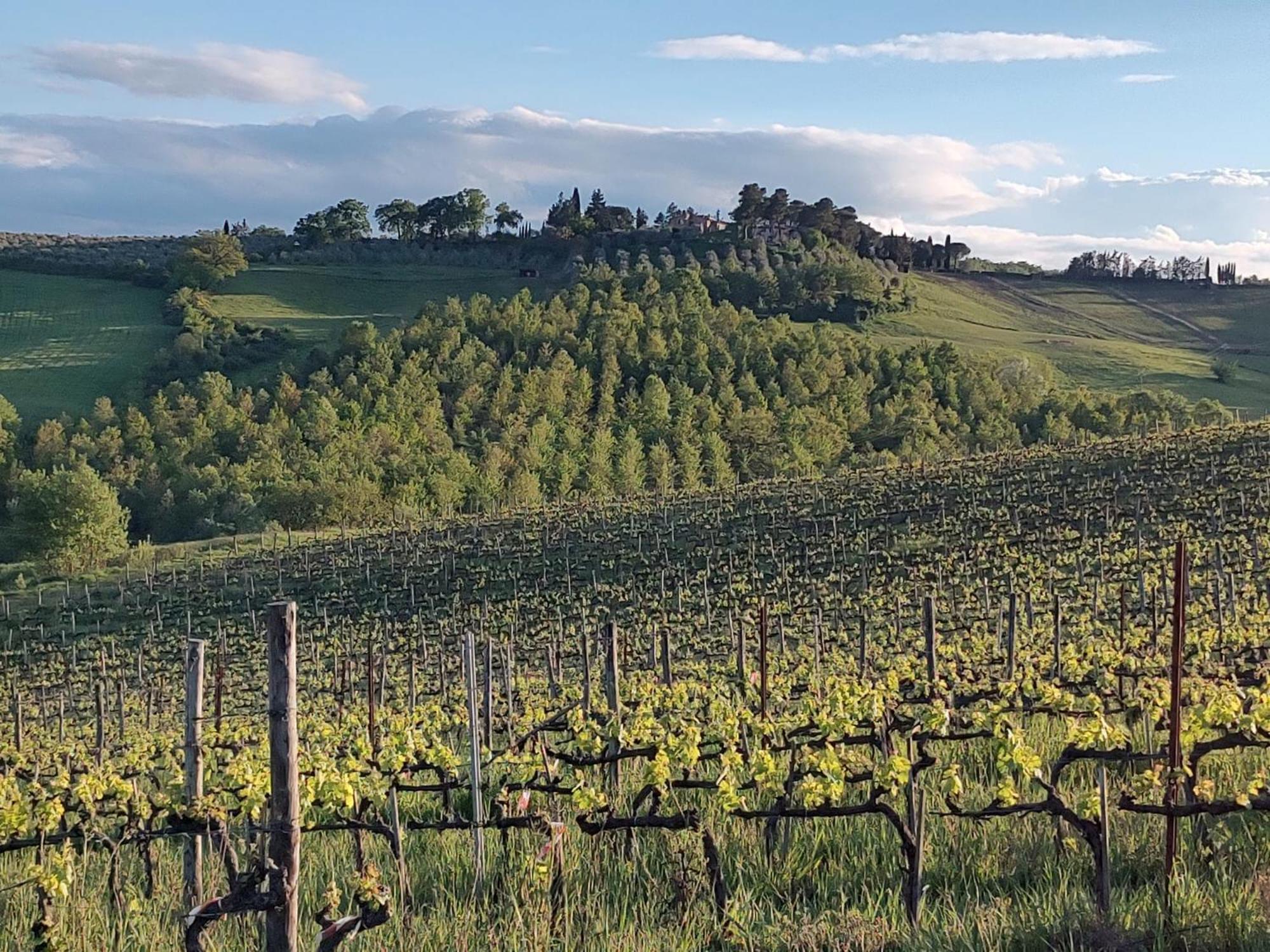 Il Giardino Del Chianti Apartment Siena Bagian luar foto